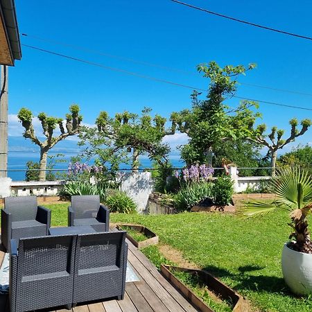 Appartement Cozy 1 Panoramique Lac Leman Thonon-Les-Bains Exteriör bild